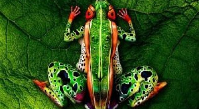 Tablouri vii: 11 Picturi pe corpul uman care te induc in eroare
