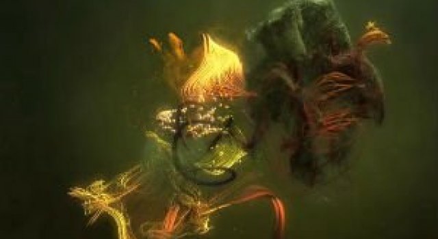 Un amestec de simturi: Cum se vede ciripitul pasarilor