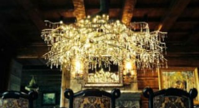 Copacul din vie: Lumineaza chipurile insetate de grandoare