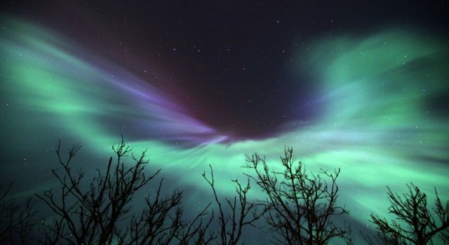 NG 2015: 12 Fotografii spectaculoase, din prestigiosul concurs