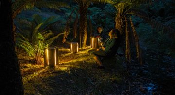 Creeaza cu lumina care-i lipseste: Buturugi luminoase, cu Duncan Meerding