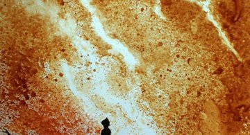 Artistul cafelei: Savoare vizuala intr-un altfel pictorial