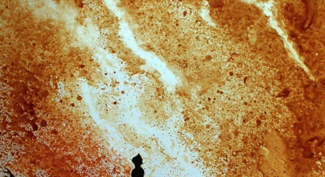 Artistul cafelei: Savoare vizuala intr-un altfel pictorial