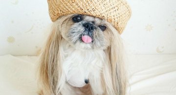Kuma, o catelusa deosebita, in poze superbe