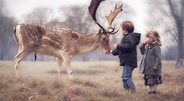 Fetita si cerbul: Un scenariu de Disney cu personaje reale
