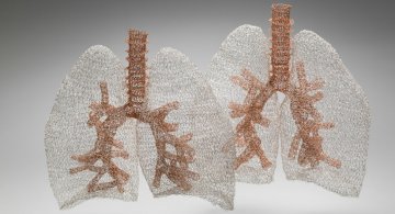 Anatomie crosetata, de Anne Mondro