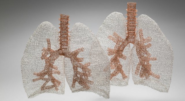 Anatomie crosetata, de Anne Mondro