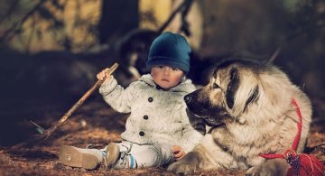 Conexiunea dintre om si animale, in imagini sugestive