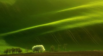 Pe dealurile spectaculoase ale Cehiei