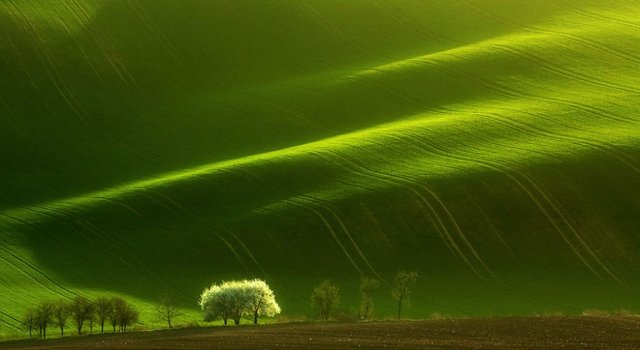 Pe dealurile spectaculoase ale Cehiei