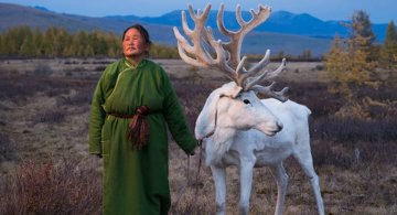 Oameni si reni, in inima Mongoliei