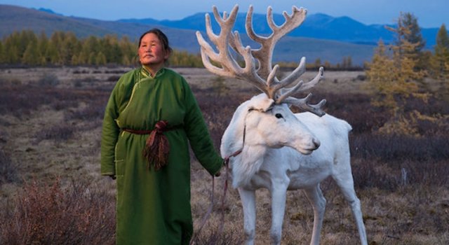 Oameni si reni, in inima Mongoliei