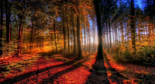 Frumusetea imbietoare a toamnei, in poze sublime