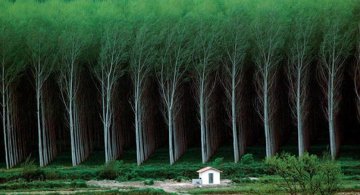 Un pictorial pentru perfectionisti