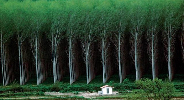 Un pictorial pentru perfectionisti