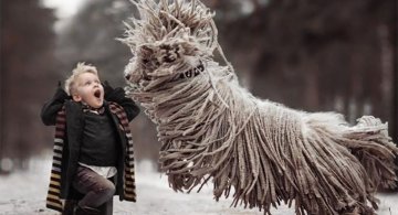 Copilasi si caini uriasi, in poze superbe