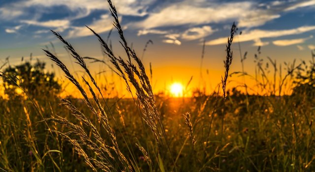 Trucuri utile: Cum trecem mai usor peste o zi torida de vara