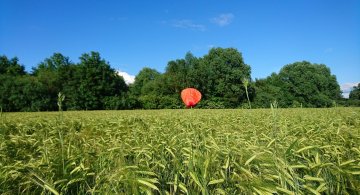 10 Trucuri pentru a deveni mai buni si mai fericiti