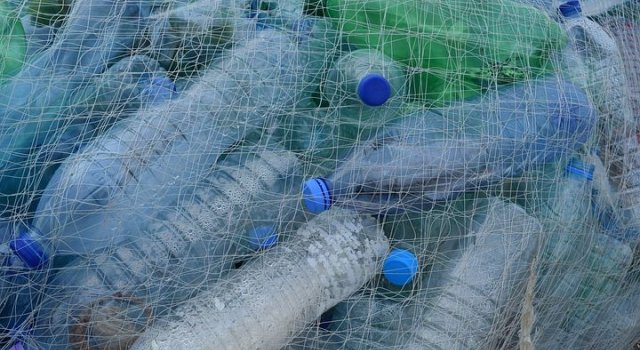10+ Moduri geniale de a refolsi sticlele din plastic