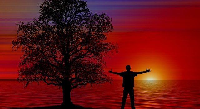 Ikigai: Secretul japonez al unei vieti mai lungi, mai fericite