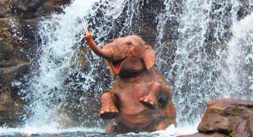 21 de poze simpatice care iti vor face ziua mai buna