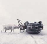 Sony Foto Awards 2018: Diversitatea lumii in care traim, in poze uluitoare