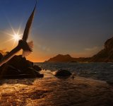 30 Lucruri fascinante despre lumea inconjuratoare