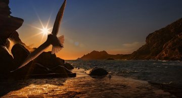 30 Lucruri fascinante despre lumea inconjuratoare