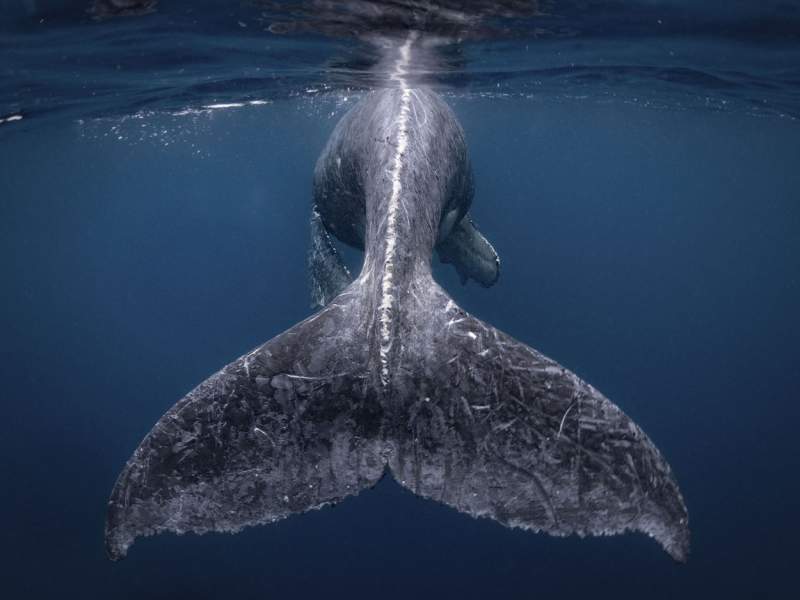 National Geographic: Cele mai frumoase fotografii de calatorie