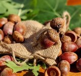 O reverenta, frunza... Cele mai frumoase poezii de toamna