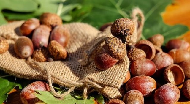 O reverenta, frunza... Cele mai frumoase poezii de toamna
