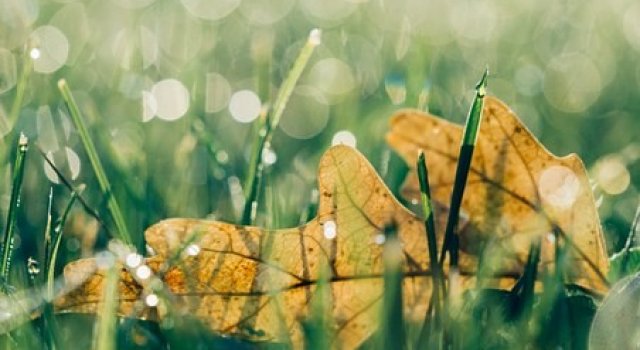 25+ Citate sublime ale celor mai luminate minti din istorie