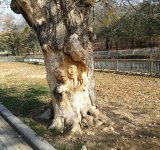 Parcul Nicolae Romanescu: Minunea verde din Banie, in poze spectaculoase