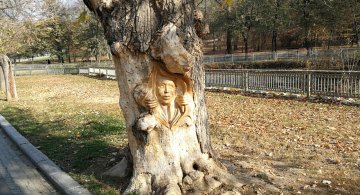 Parcul Nicolae Romanescu: Minunea verde din Banie, in poze spectaculoase