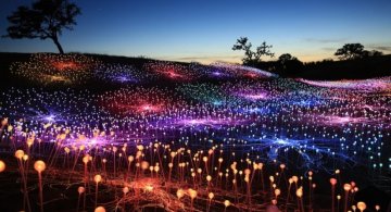 Cele mai frumoase instalatii artistice din 2019