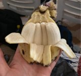 10 poze pentru cei care cred ca le-au vazut pe toate