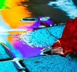 Nuantele picaturilor de ploaie, in poze fermecatoare