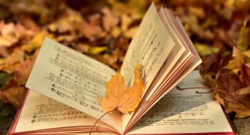 Cele mai frumoase poezii romanesti puse pe muzica