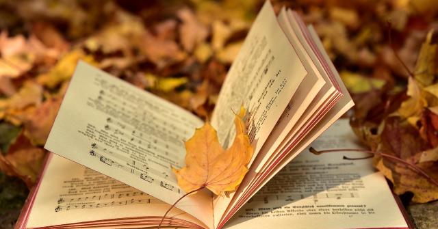10 Best Poezii Romanesti De Suflet Images Poezii Versuri Citate Frumoase