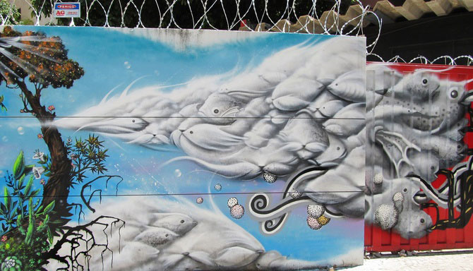 Graffiti in Tara Minunilor, de Andre Muniz Gonzaga