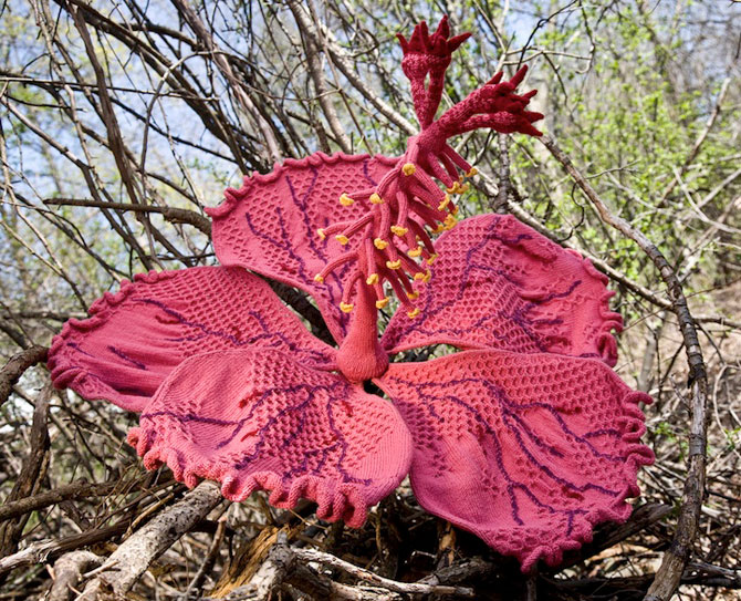 Flori tricotate incredibil de veridice la Gradina Botanica! - Poza 5
