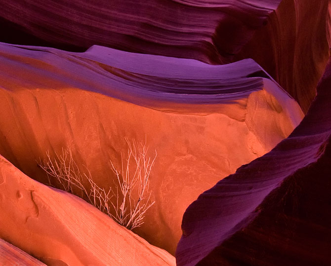 Geologie si culoare in Arizona - Poza 8