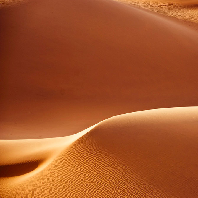 Frumusete in desert, cu Shawn van Eeden - Poza 3