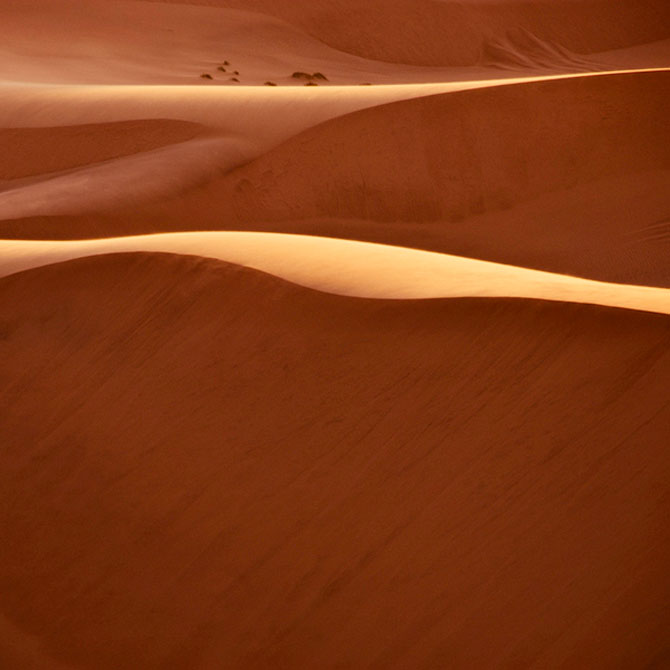 Frumusete in desert, cu Shawn van Eeden - Poza 7