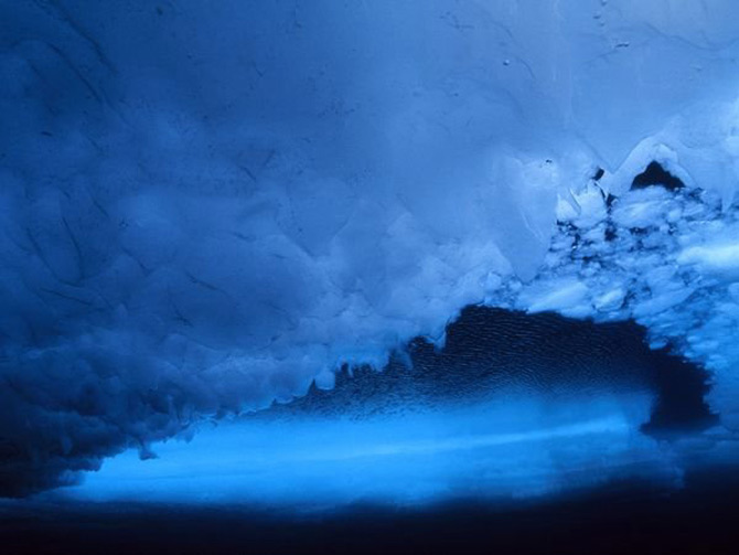 Viata in albastru: National Geographic - Poza 9