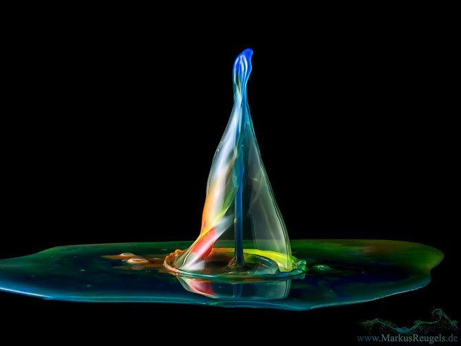 Culorile fascinante ale apei, la microscop - Poza 8