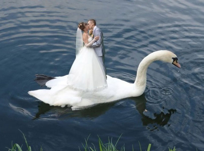 WTF?! Cele mai bizare fotografii de nunta din Rusia - Poza 8