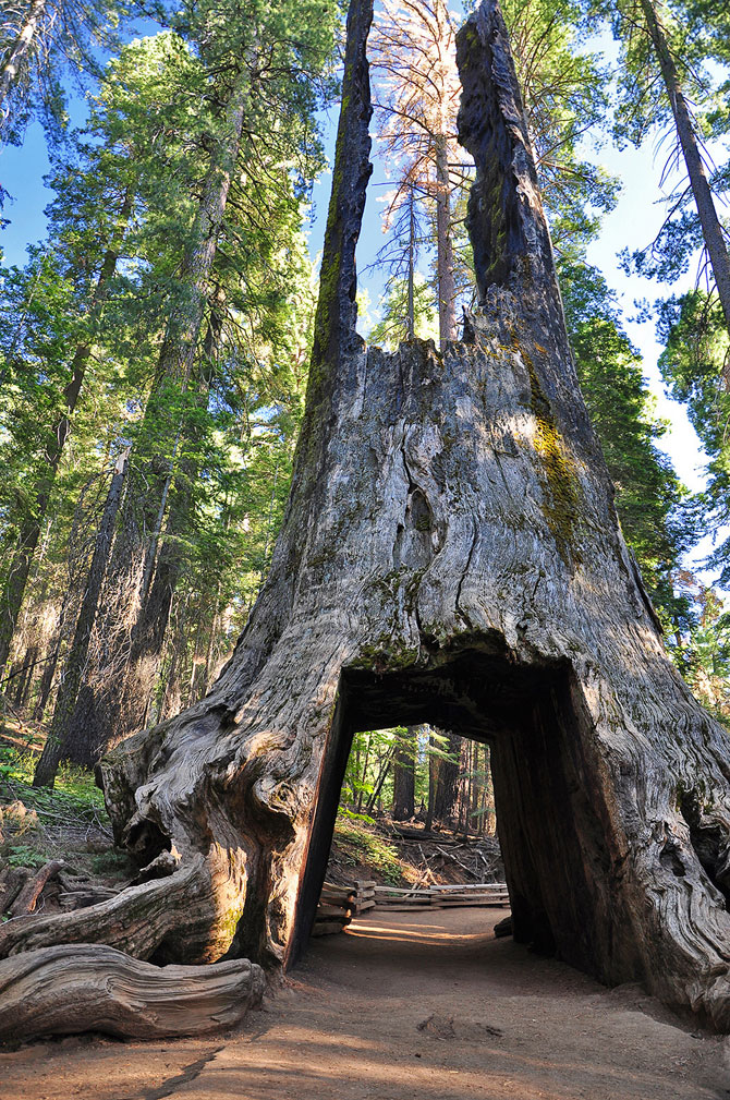 11 peisaje superbe din Parcul National Yosemite - Poza 8