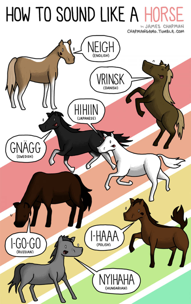 Cum suna animalele in diferite limbi? - Poza 5