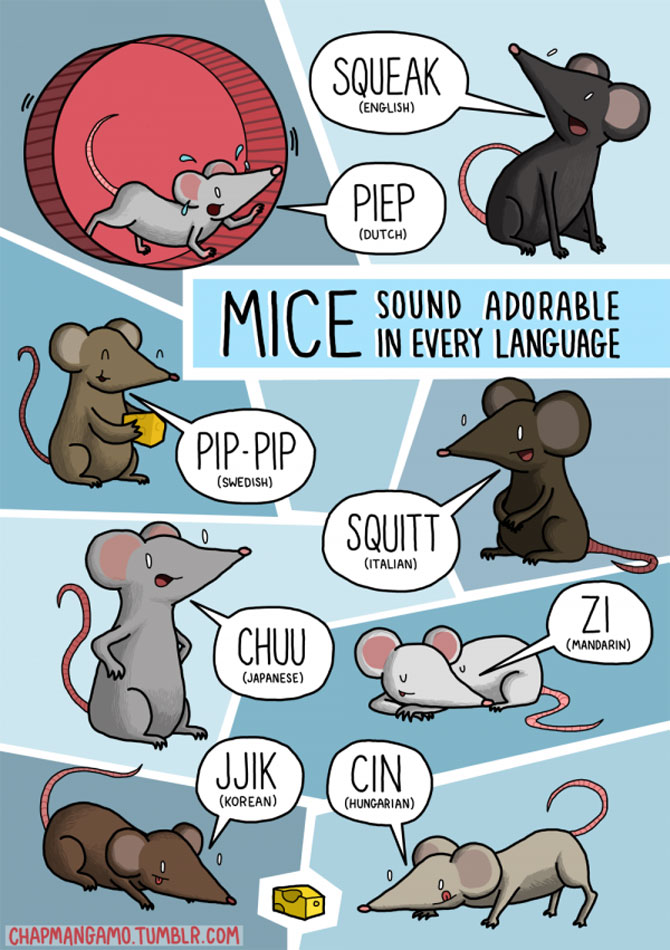 Cum suna animalele in diferite limbi? - Poza 6